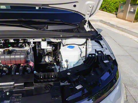 2025�� 650������