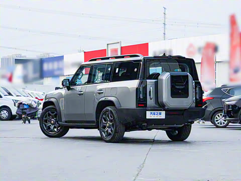 2025�� 2.0TD XWD �Զ�����