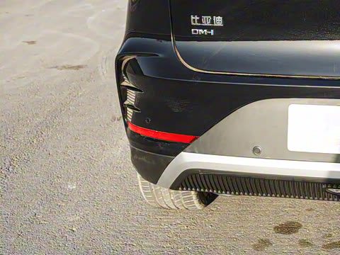 2025�� �Ǽݰ� DM-i 115KM �콢��