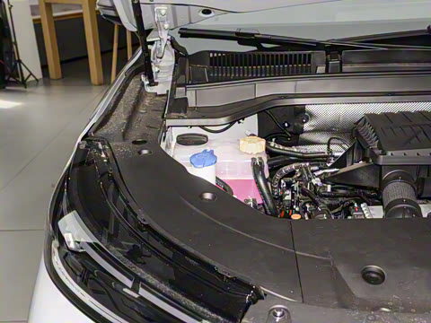 2025�� 120 ���������콢�� 5�� �������