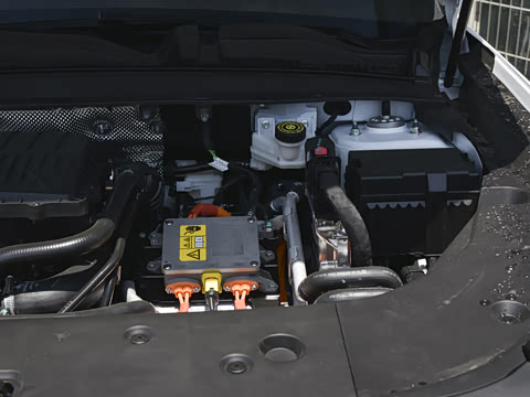 2024�� ������