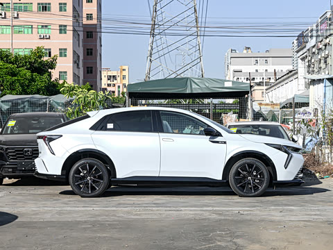 2024�� ����