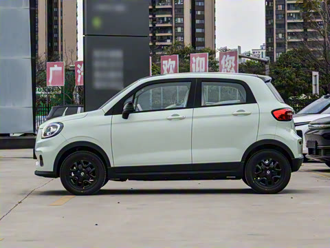 2025�� 310������