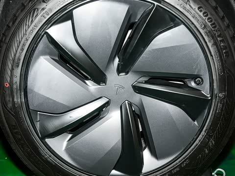 2025�� ����������