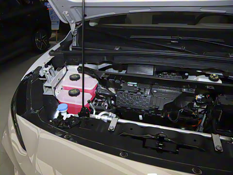 2025�� 425plus ������