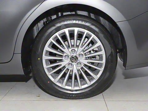 2025�� ˫�� 2.0HG ��԰�