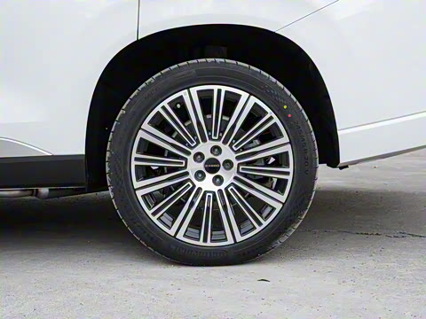 2025�� 180 ��������Max���� 6��