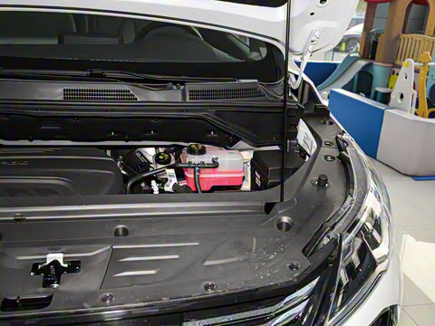 2024�� �Ŀ� PLUS 1.5T �Ҹ��Ƽ��Զ���ҫ��