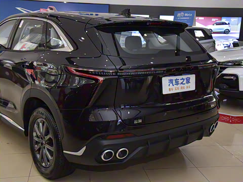 2025�� 1.5T ɽ��� 5��