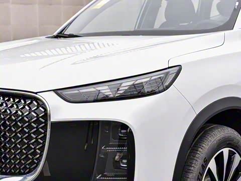 2025�� 290TGDI DCT������ 7��