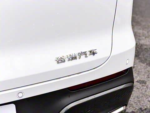 2025�� 290TGDI DCT������ 7��