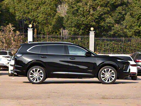 2025�� ������Plus ����Avenir��ά��