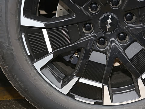 2025�� ���º����� 7��