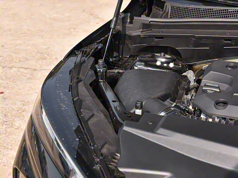 2025�� ������Plus 28T �����׽��