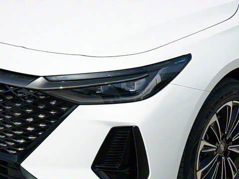 2025�� 145km ������