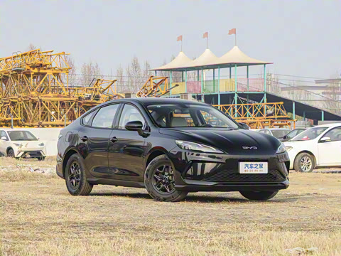 2025�� DM-i �Ǽݰ� 55KM������