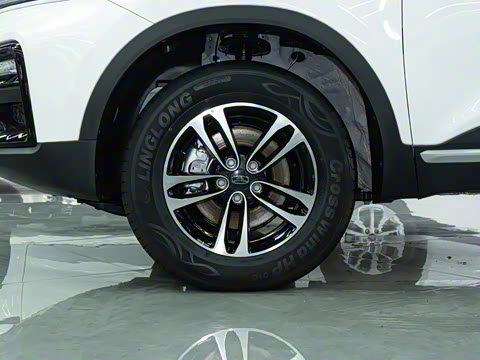 2025�� 1.5L �ֶ����ʰ�