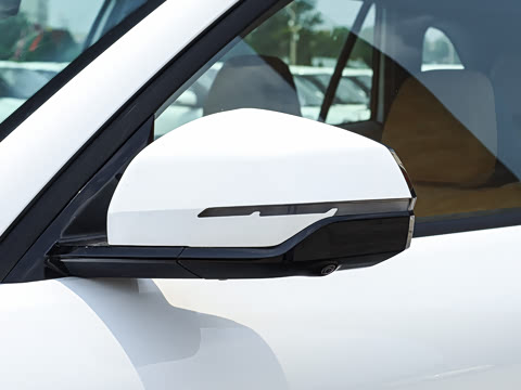 2025�� 55km ������