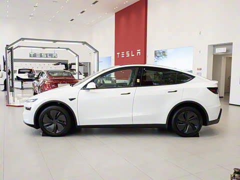 2025�� ����������