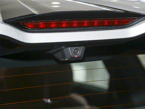 2025�� 636Max���Ȱ� 6��