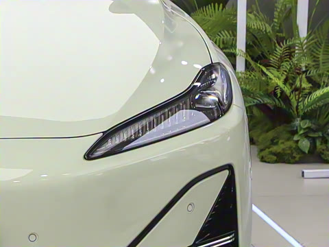 2025�� 550��ѡ��