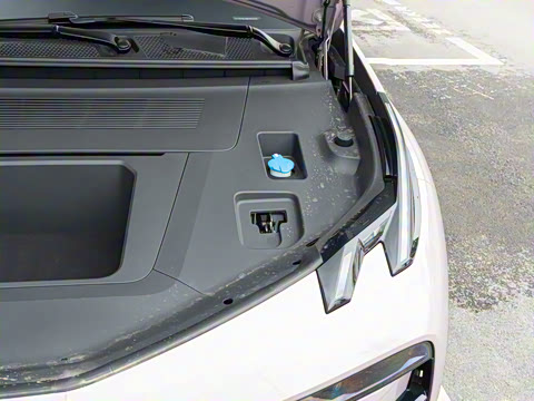 2025�� ��������ħ����