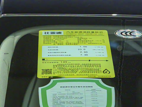 2024�� DM-i 980 ����������