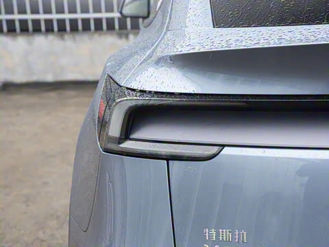 2025�� ����������