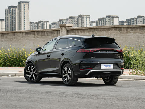 2025�� DM-i 175KM �캽��