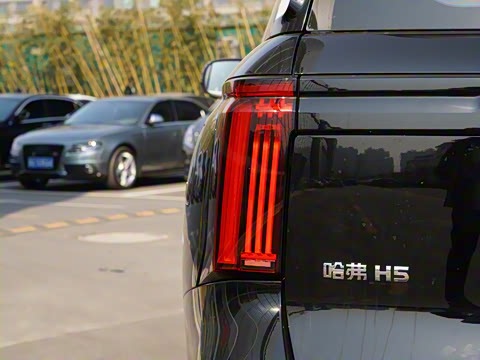 2025�� 2.0T�Զ�������Ӣ�� ����