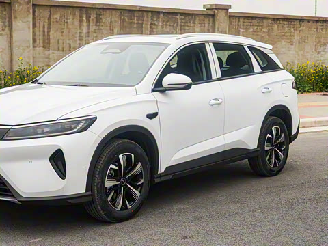 2025�� DM-i �Ǽݰ� 115KM������