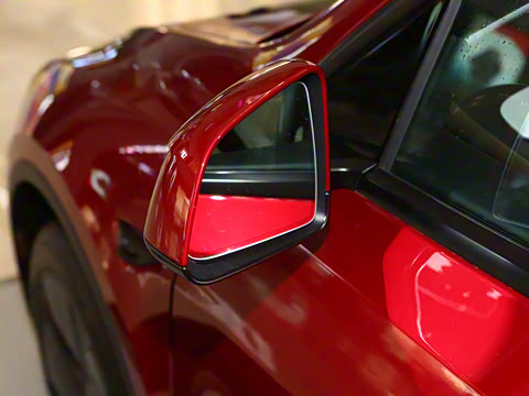 2025�� ����������