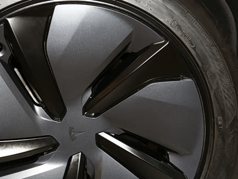 2025�� ����������