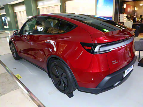 2025�� ����������