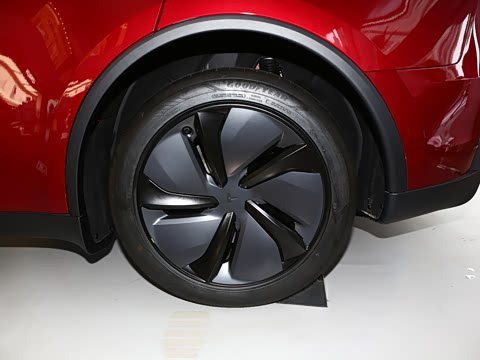 2025�� ����������