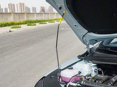 2025�� DM-i �Ǽݰ� 55KM��Խ��