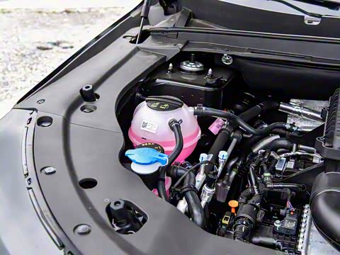 2025�� ������ 7��