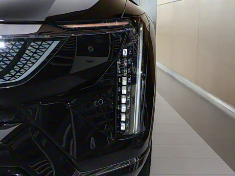 2024�� ������������