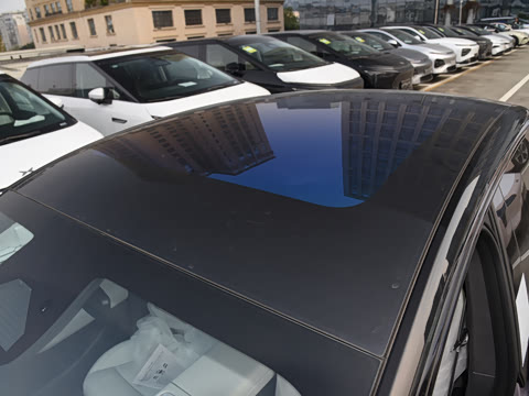 2024�� ������ Max