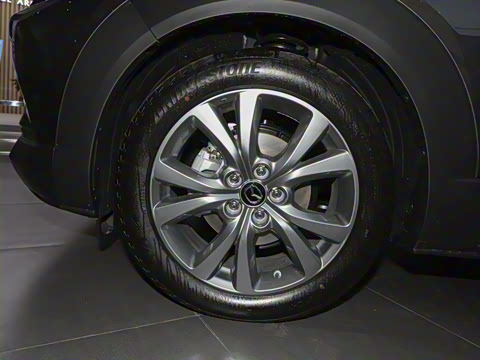 2024�� 2.0L �Զ�������