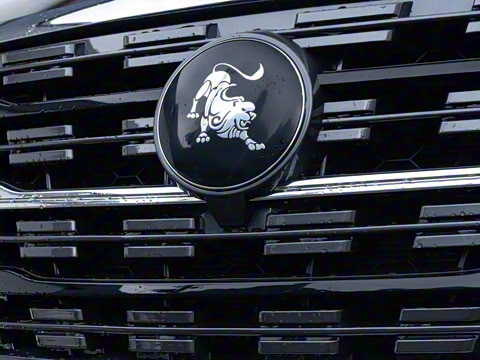 2024�� 1.5T �ֶ�Ӫ�˰� 9��