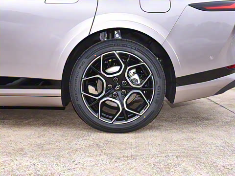 2025�� �������̰� 230�����