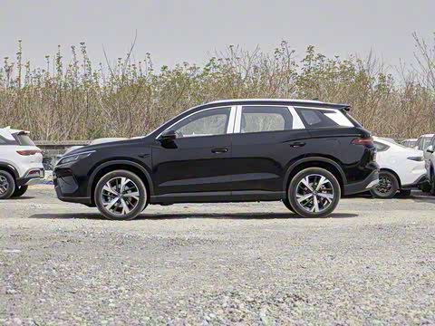 2025�� �ڶ��� �Ǽݰ� DM-i 115KM׿Խ��