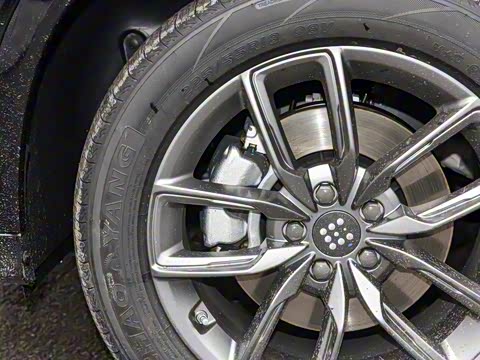 2025�� 165km ������������ 7��