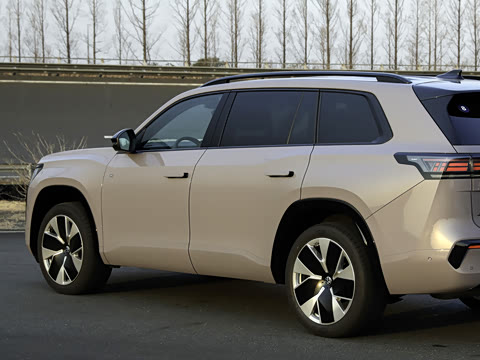 2025�� ;�� Pro 450TSI �����Ƿ��