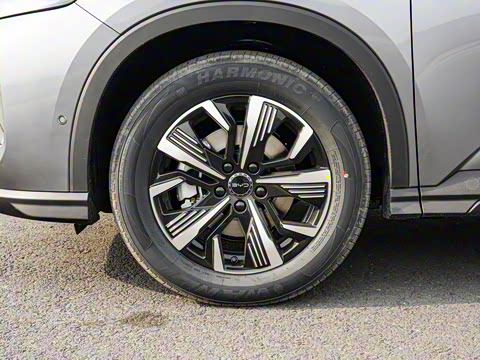 2025�� DM-i �Ǽݰ� 115KM������