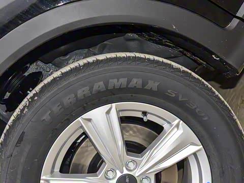 2025�� 1.5T �ֶ���Խ�� 5��