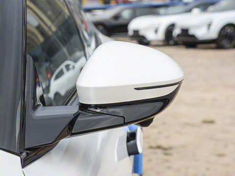 2025�� Pro�����