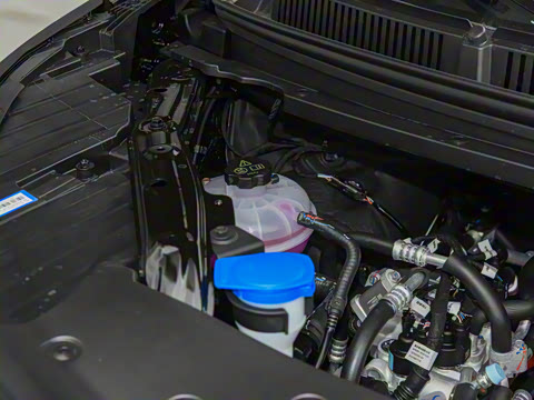 2025�� EV ��������