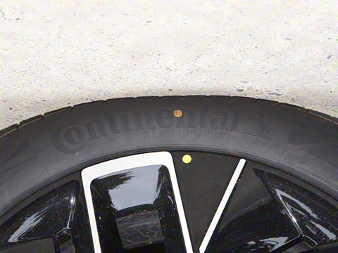 2025�� Max �����